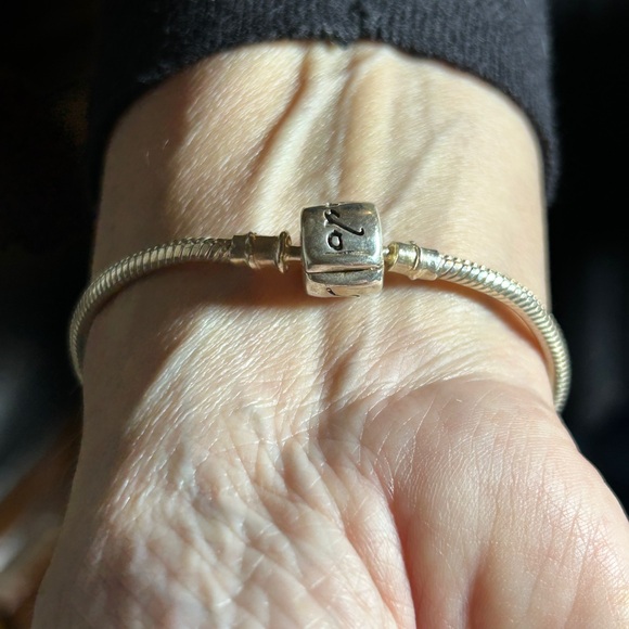 Elegant Silver Charm Bracelet - Picture 2 of 4